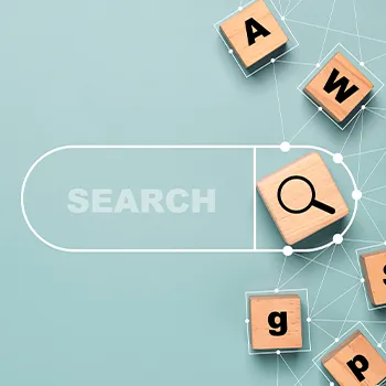 Magnifying glass icon search box