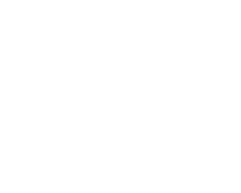 Icon1