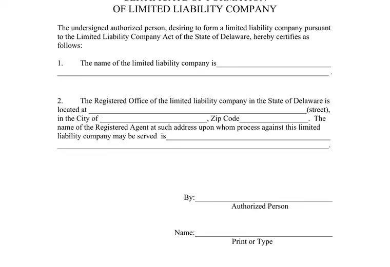 Official Delaware LLC formation form showing the LLC name and filing details