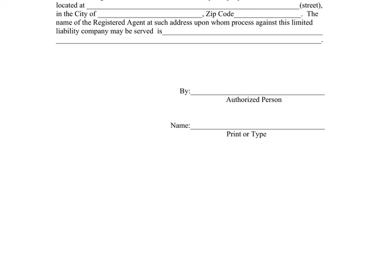 Official Delaware LLC formation form showing registered-agent, organizer, and submission details