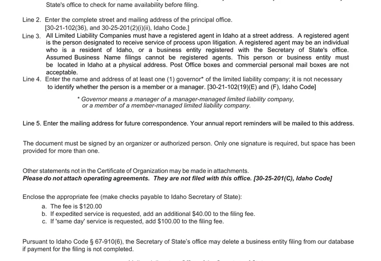 Official Idaho LLC source showing formation filing requirements and submission details