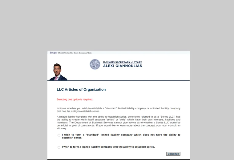 Official Illinois LLC source showing formation filing requirements and submission details