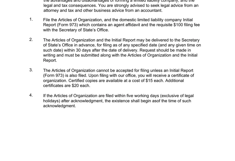 Official Louisiana LLC source showing formation filing requirements and submission details