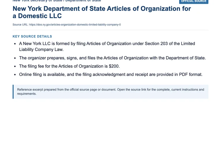 Official New York LLC source showing formation filing requirements and submission details