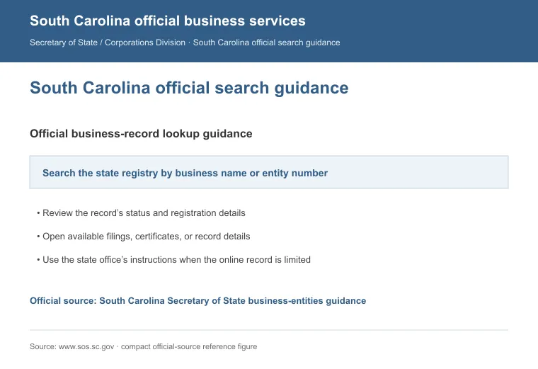 Official South Carolina business-record guidance showing how to review entity status, filings, or record details