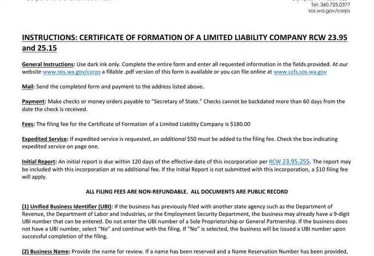 Official Washington LLC formation form showing the LLC name and filing details