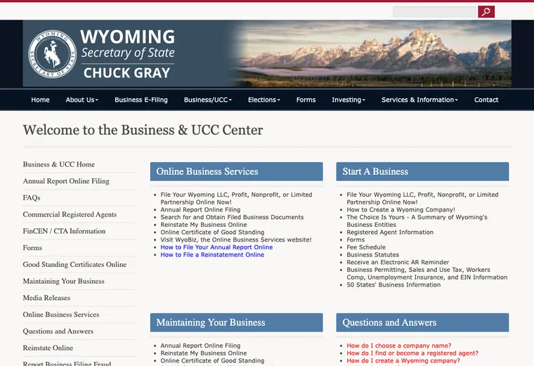Official Wyoming business-record guidance showing how to review entity status, filings, or record details