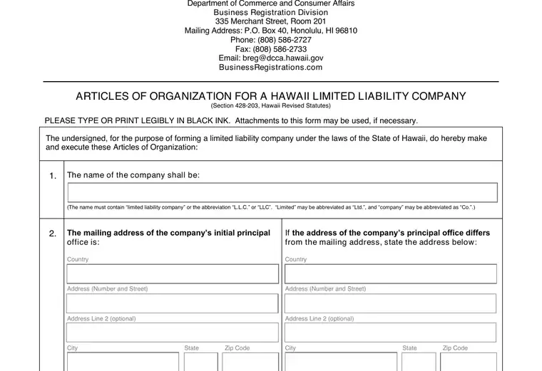 Official Hawaii LLC formation form showing the LLC name and filing details