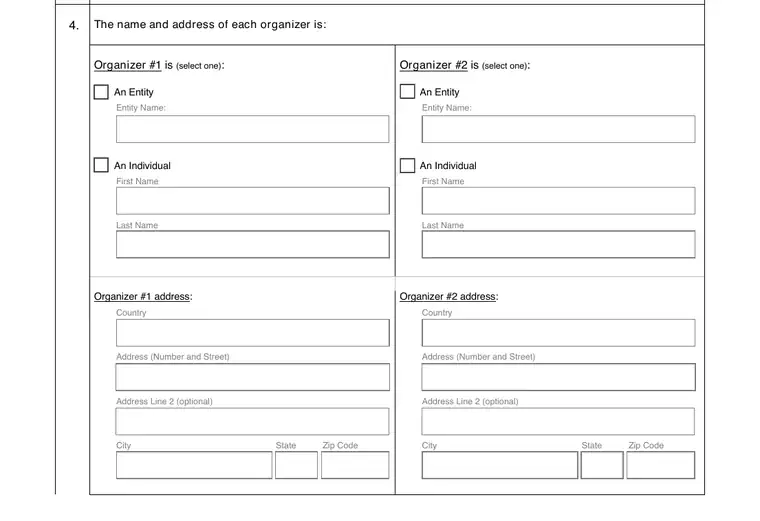 Official Hawaii LLC formation form showing registered-agent, organizer, and submission details