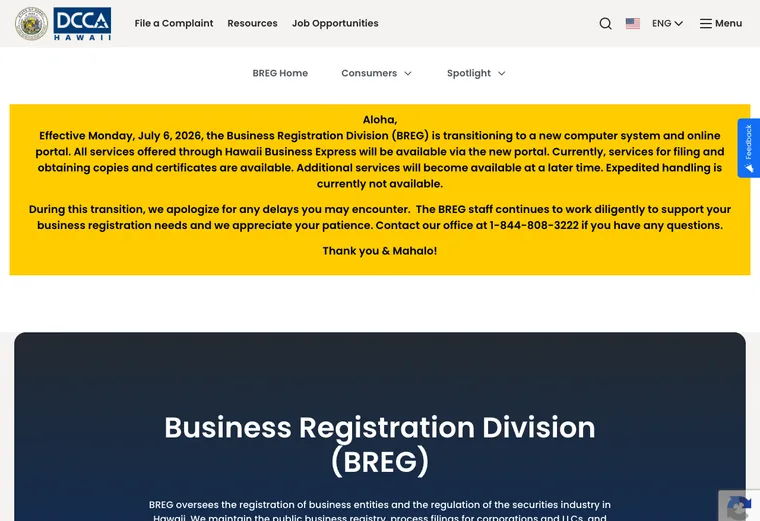 Official Hawaii business-record guidance showing how to review entity status, filings, or record details