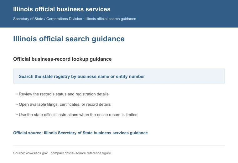 Official Illinois business-record guidance showing how to review entity status, filings, or record details
