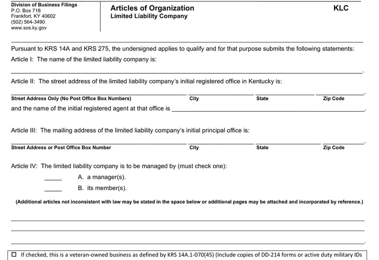 Official Kentucky LLC formation form showing the LLC name and filing details