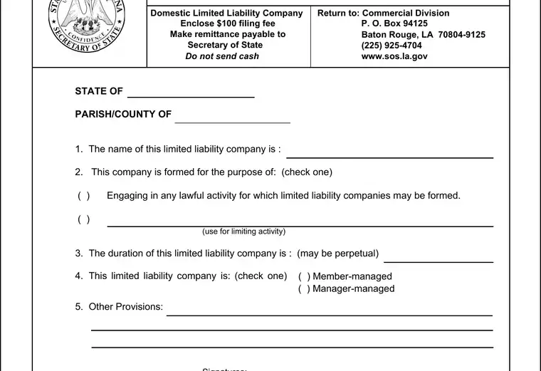 Official Louisiana LLC formation form showing the LLC name and filing details