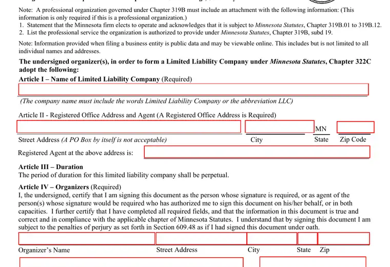 Official Minnesota LLC formation form showing the LLC name and filing details