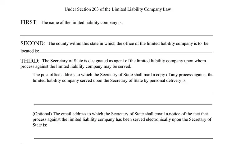 Official New York LLC formation form showing registered-agent, organizer, and submission details
