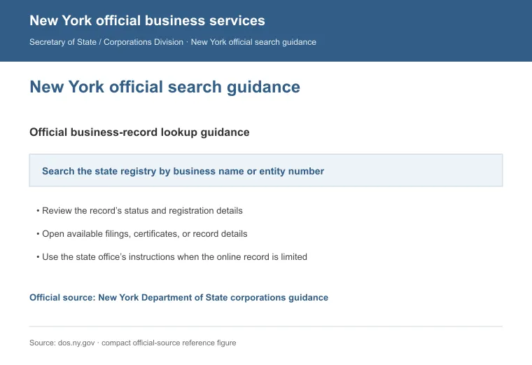 Official New York business-record guidance showing how to review entity status, filings, or record details