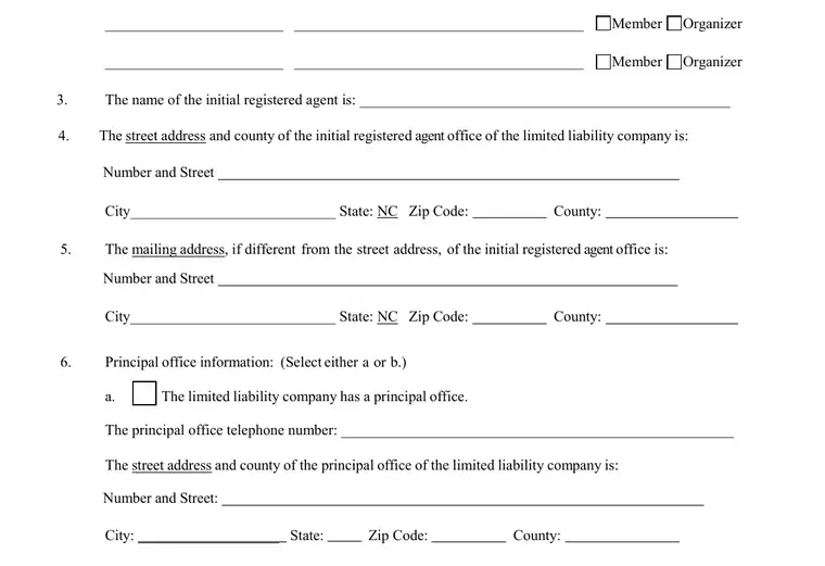 Official North Carolina LLC formation form showing registered-agent, organizer, and submission details