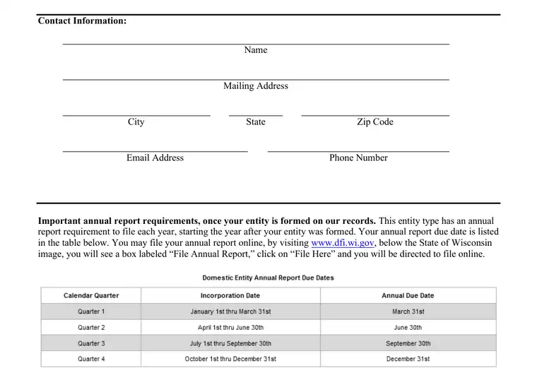 Official Wisconsin LLC formation form showing registered-agent, organizer, and submission details