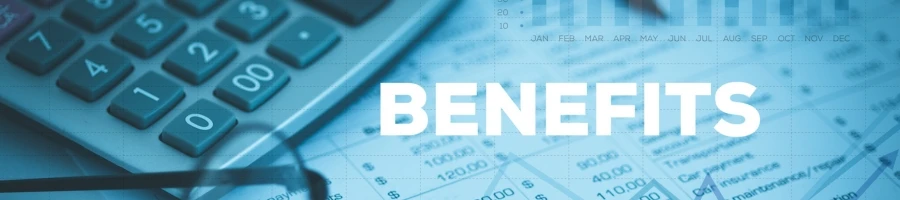 Forming an LLC Benefits