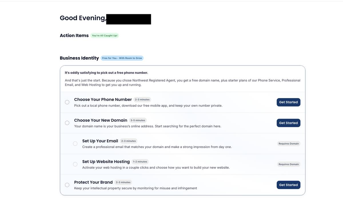 Northwest Registered Agent Business Identity setup screen showing domain email phone website and brand protection