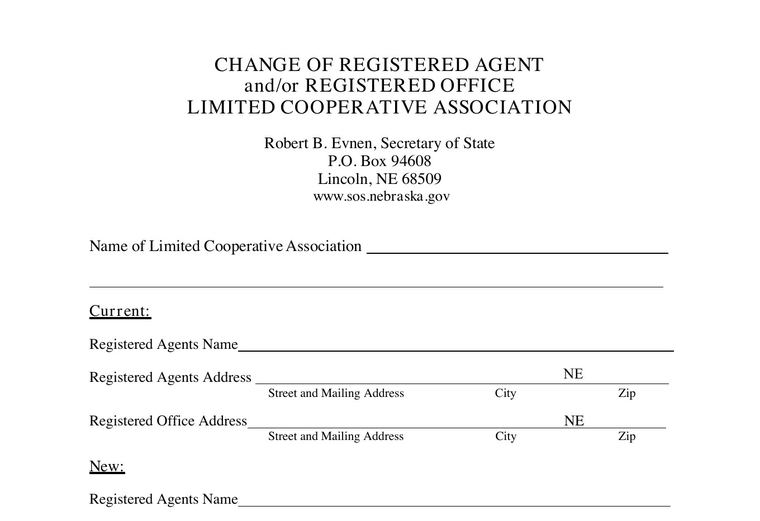 Official Nebraska registered-agent change filing source screenshot showing the change filing information
